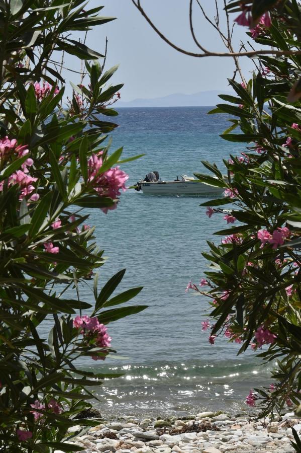 Seaside Home In Kardiani/Giannaki Bay - Agnes'S Home Eksteriør billede